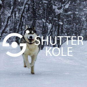 Hasky - ShutterKole