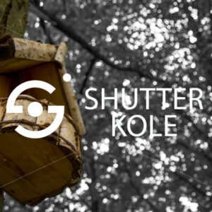 birdhouse - ShutterKole