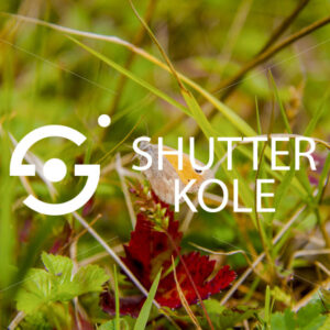 butterfly - ShutterKole