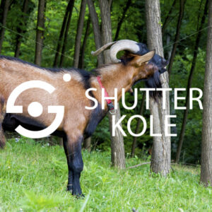 capricorn - ShutterKole