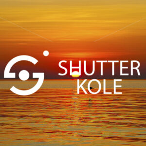 cormorant - ShutterKole