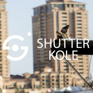 doves - ShutterKole