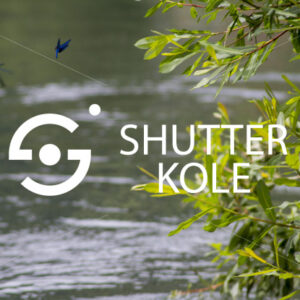 dragonfly - ShutterKole