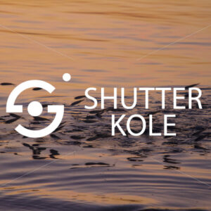 fish juvenile - ShutterKole
