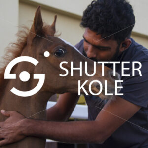 foal - ShutterKole