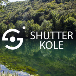 forest - ShutterKole
