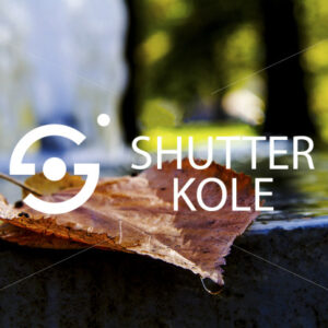 fountain - ShutterKole