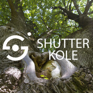 heart - ShutterKole