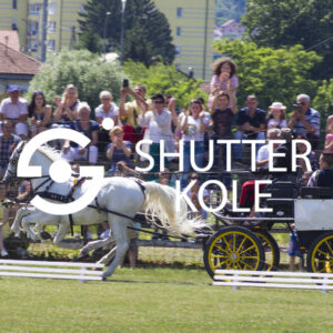 horse-drawn - ShutterKole