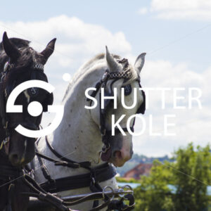 horse-drawn - ShutterKole