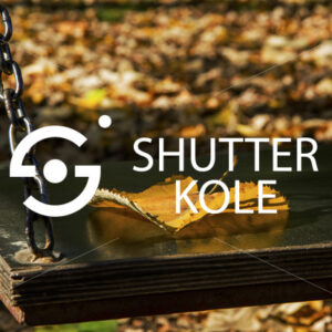 leaves - ShutterKole