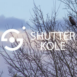 mystical - ShutterKole