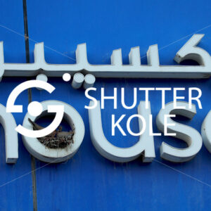 nest - ShutterKole