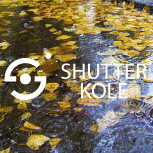 puddle - ShutterKole