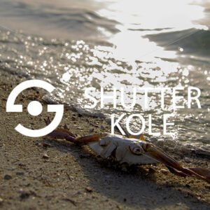 skeleton - ShutterKole