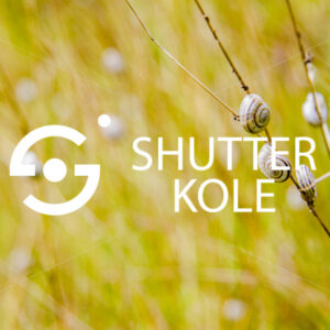 snails - ShutterKole