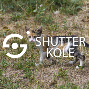 ss_5095.jpg - ShutterKole