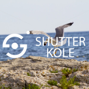 ss_5442.jpg - ShutterKole