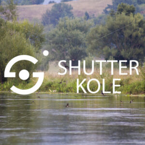 swallows - ShutterKole