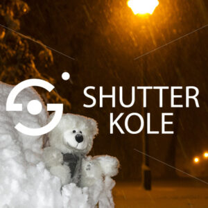 teddy bear - ShutterKole