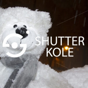 teddy bear - ShutterKole
