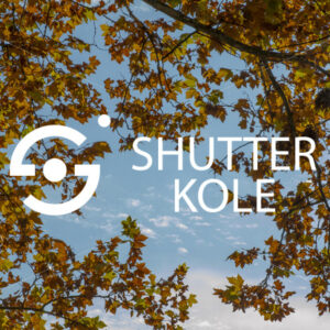 treetops - ShutterKole