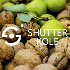 walnuts - ShutterKole