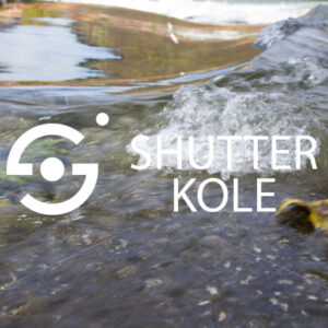 wave - ShutterKole