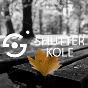 yellow leaf - ShutterKole